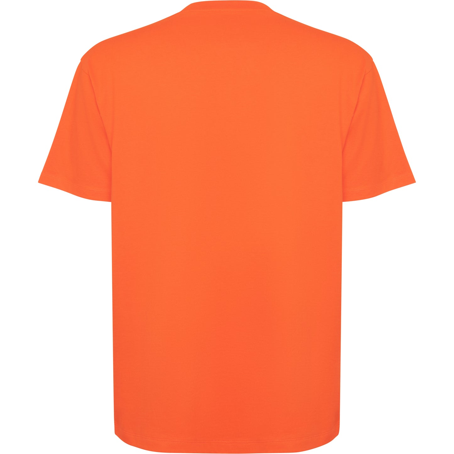 Camiseta Oversize - Color 120 espalda