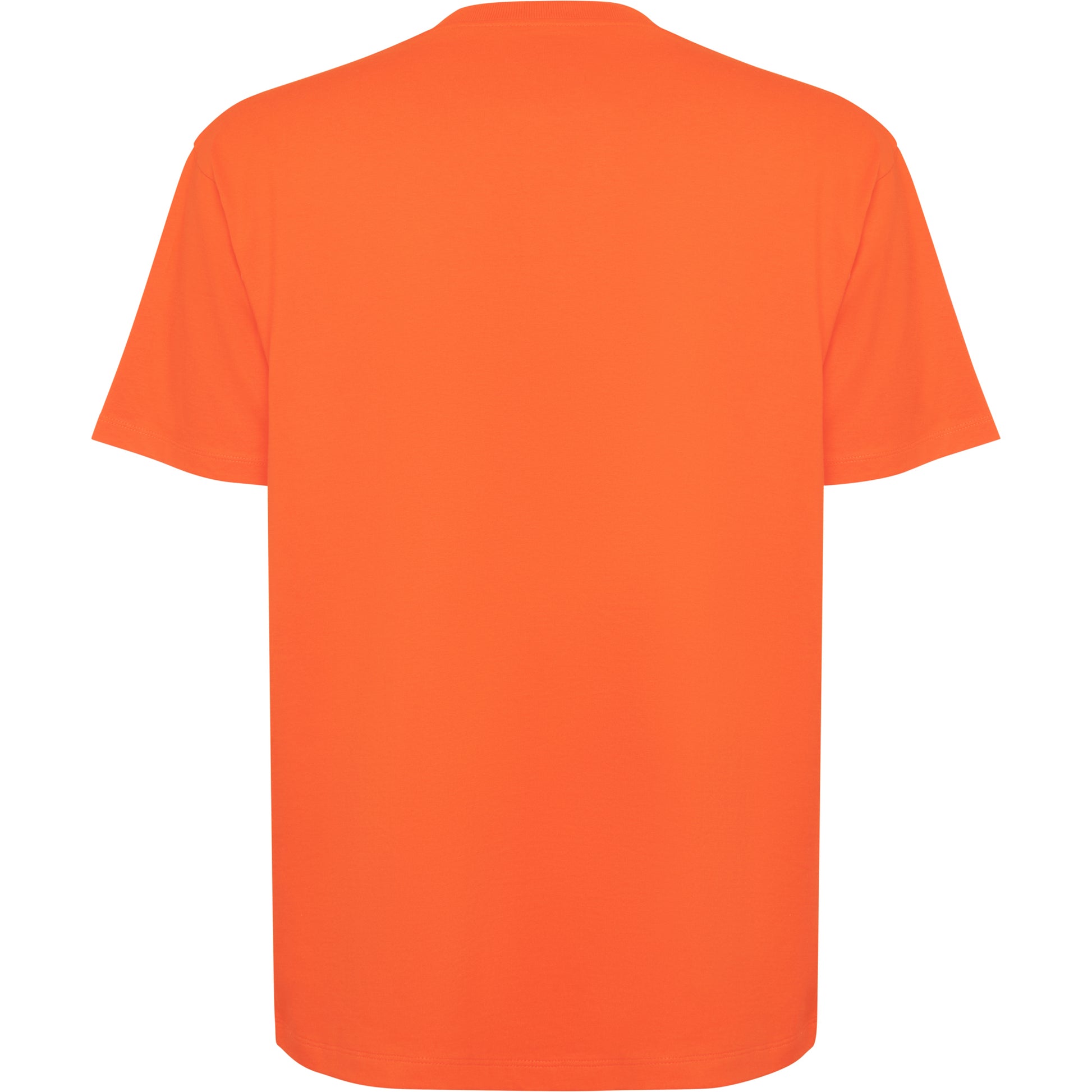 Camiseta Oversize - Color 120 espalda
